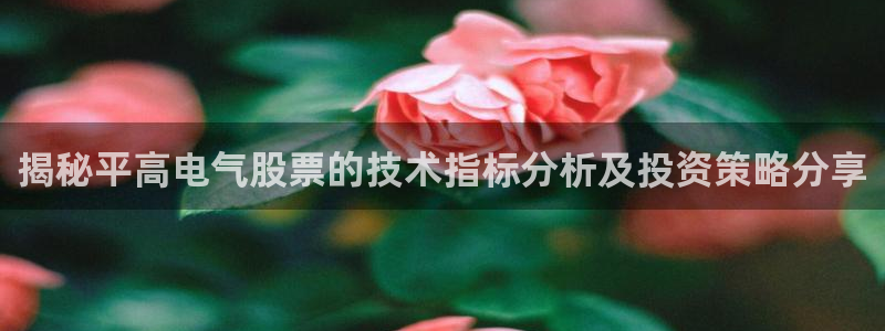 凯发正规网站