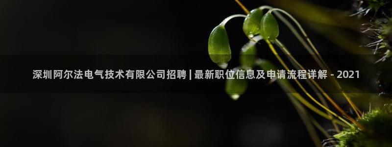 凯发国际网络平台网址