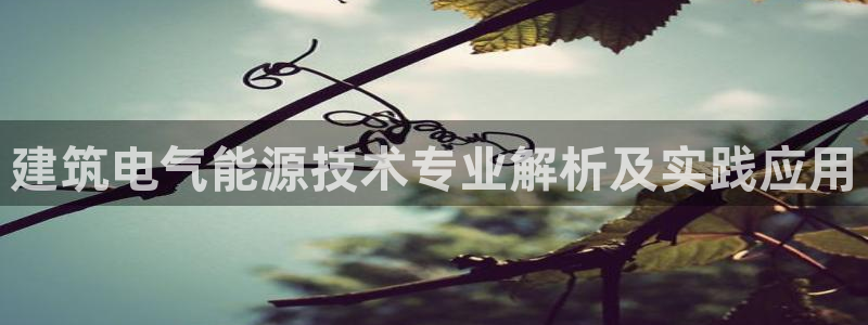 凯发k8娱乐品牌导航