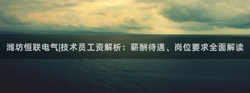 凯发注册平台安卓版下载：潍坊恒联电气|技术员工资解