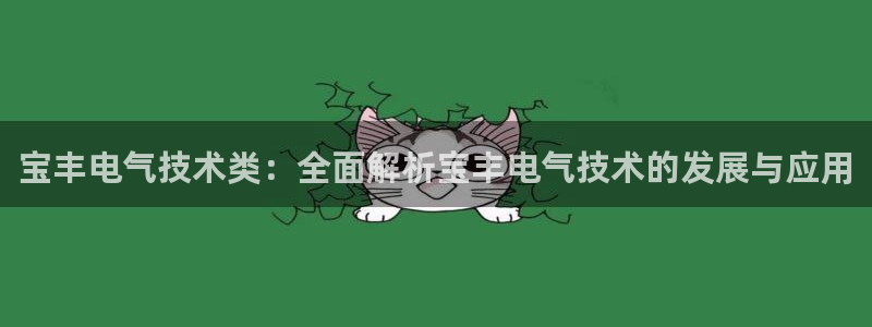 凯发k8娱乐旗舰app下载：宝丰电气技术类：全面解