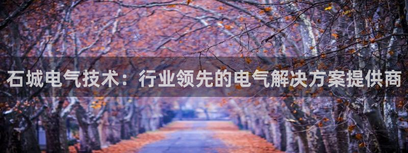 凯发官网地址：石城电气技术：行业领先的电气解决方案